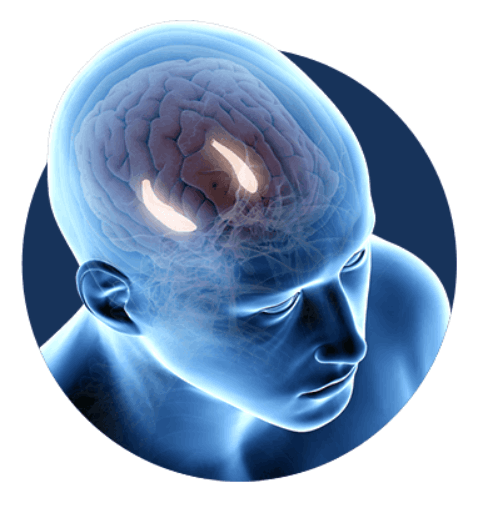 Billionaire Brain Wave